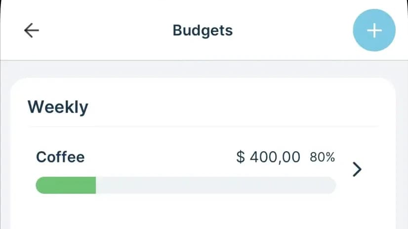 Ein Budget-Bildschirm mit einem Fortschrittsbalken je Kategorie